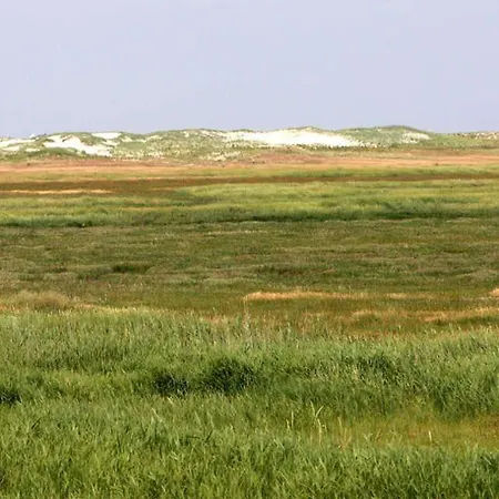De Stuuv Apartment Sankt Peter-Ording