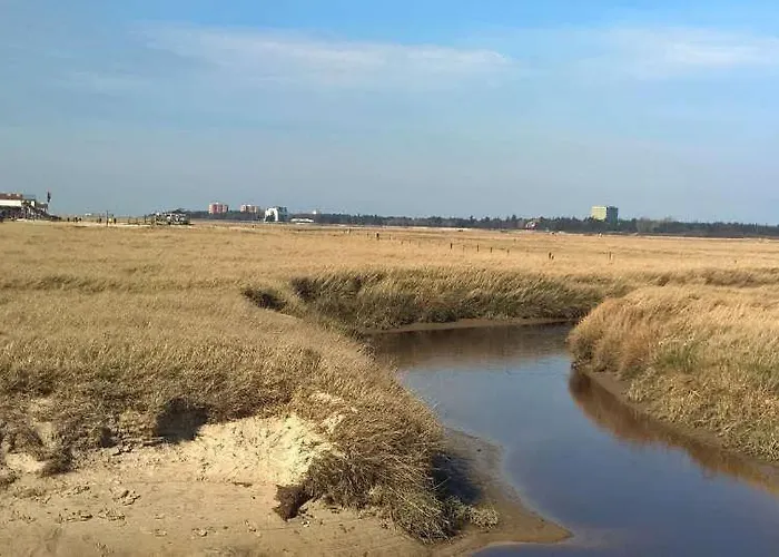 Ferienwohnung-de-best-stuuv Apartamento